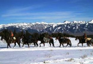 Montana Big Game Hunting