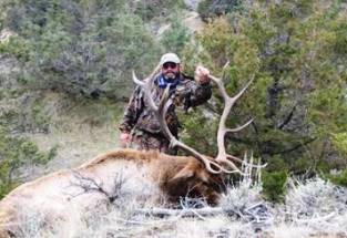 Montana Elk Hunting